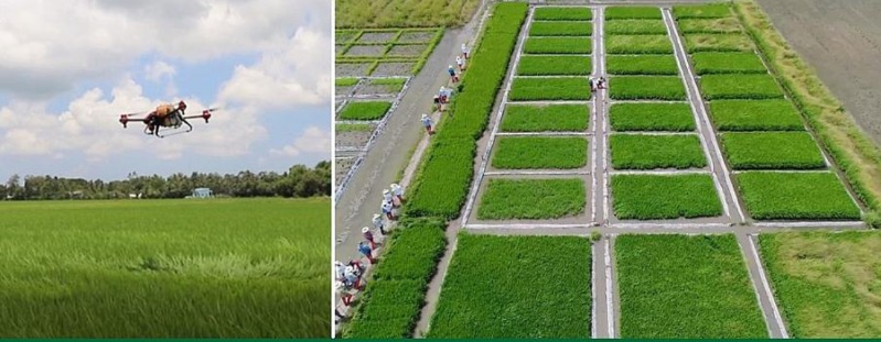 Hoàn thiện hệ sinh thái cho chuyển đổi số nông nghiệp Việt Nam.